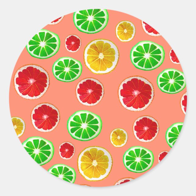 Juicy Fruit citrus fruit pattern Classic Round Sticker (Front)