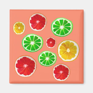Juicy Fruit citrus fruit pattern Magnet
