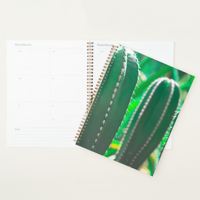 Juicy Green cactus plant leaves Planner (Display)