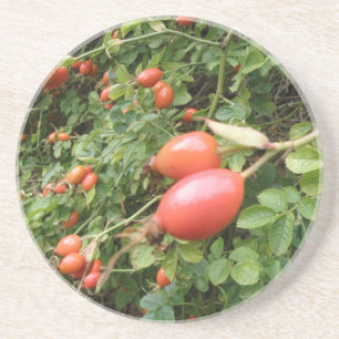 Juicy Red Rose Hips Coasters