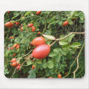 Juicy Red Rose Hips Mousepad