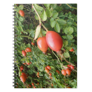 Juicy Red Rose Hips Notebook