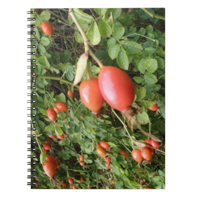 Juicy Red Rose Hips Notebook (Front)