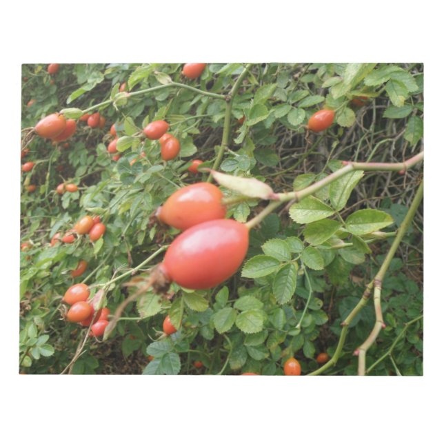 Juicy Red Rose Hips Notepad (Front)