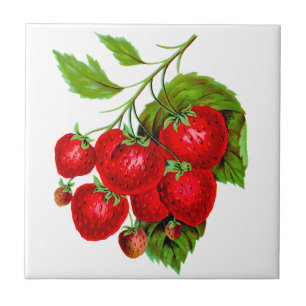 Juicy Red Strawberries Tile