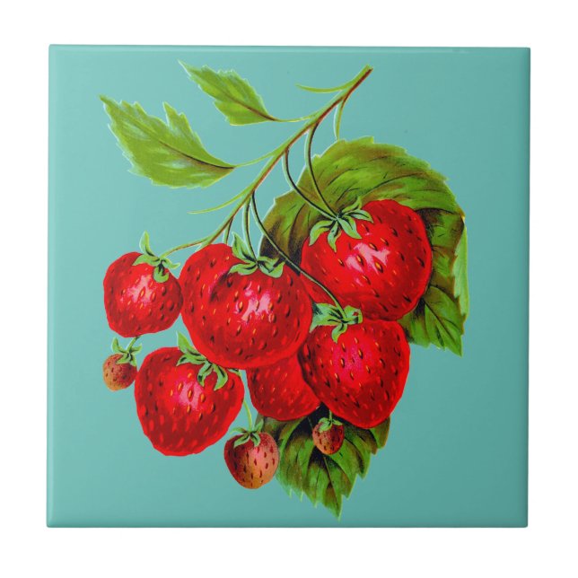 Juicy Red Strawberries Tile (Front)