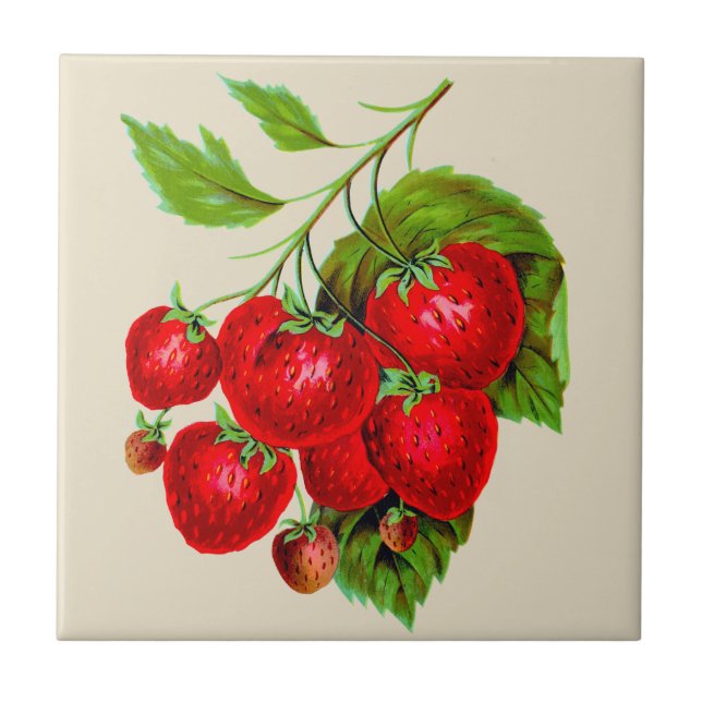 Juicy Red Strawberries Tile (Front)