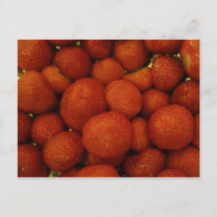 Juicy Strawberries Postcard