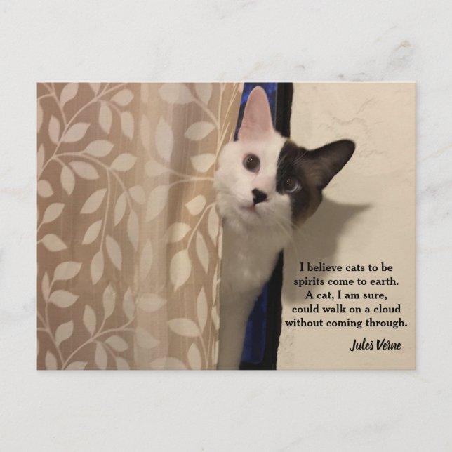Jules Verne Cat Quote Postcard (Front)