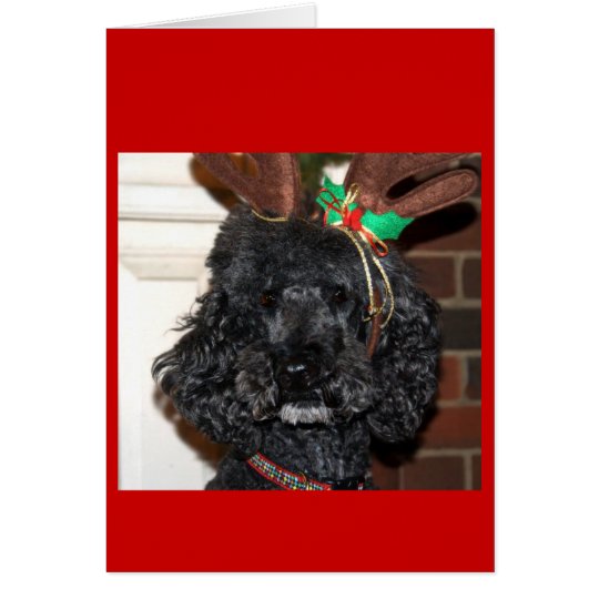 Jules Yule. Card