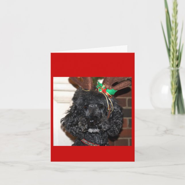 Jules Yule. Holiday Card (Front)