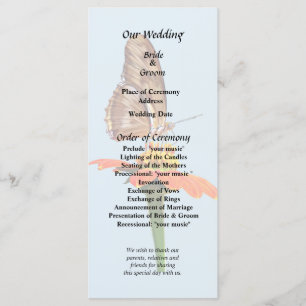 Julia Butterfly on Zinnia II Programme