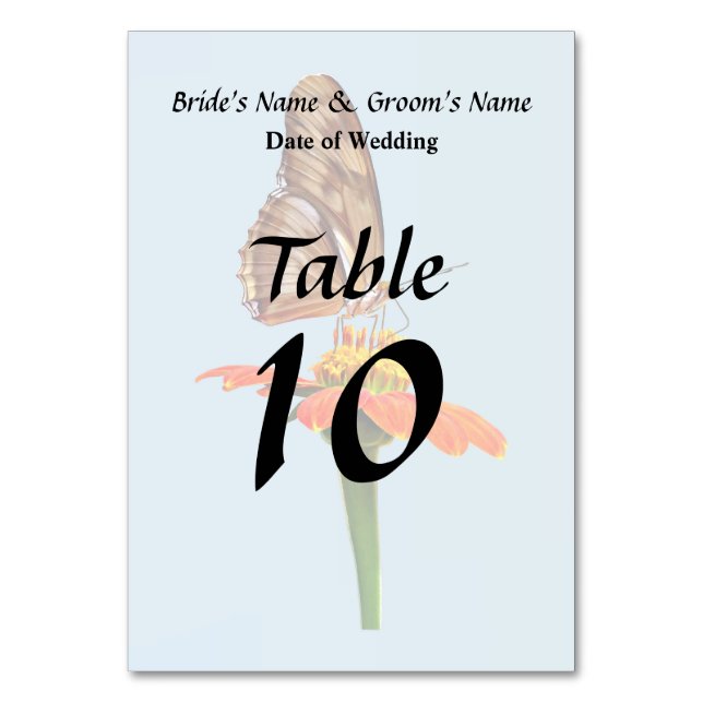 Julia Butterfly on Zinnia II Table Number (Front)