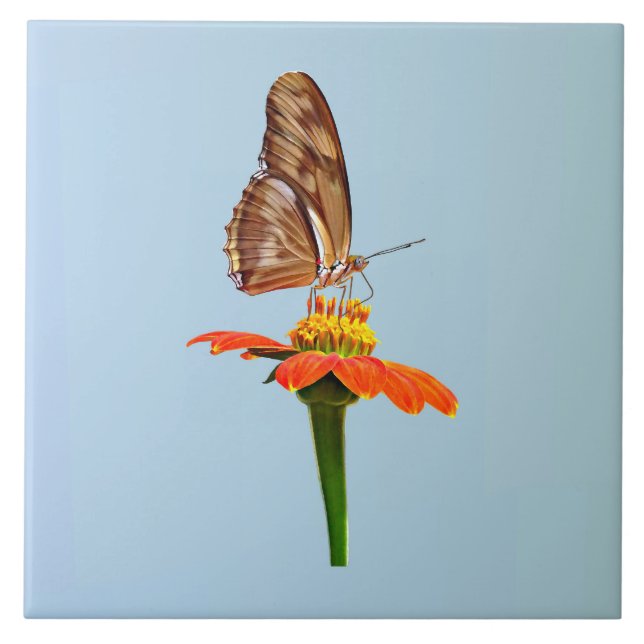Julia Butterfly on Zinnia Tile (Front)