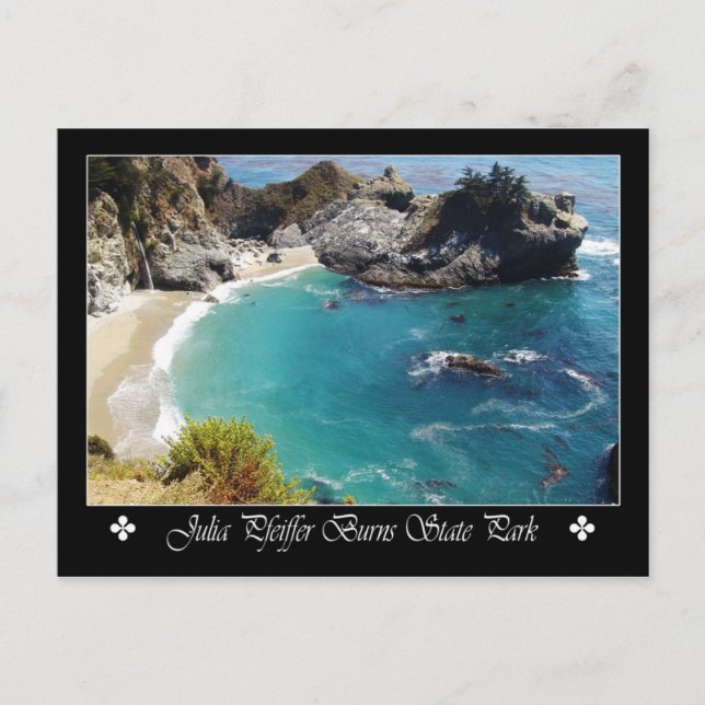 Julia Pfeiffer Burns State Park, California Postcard (Front)