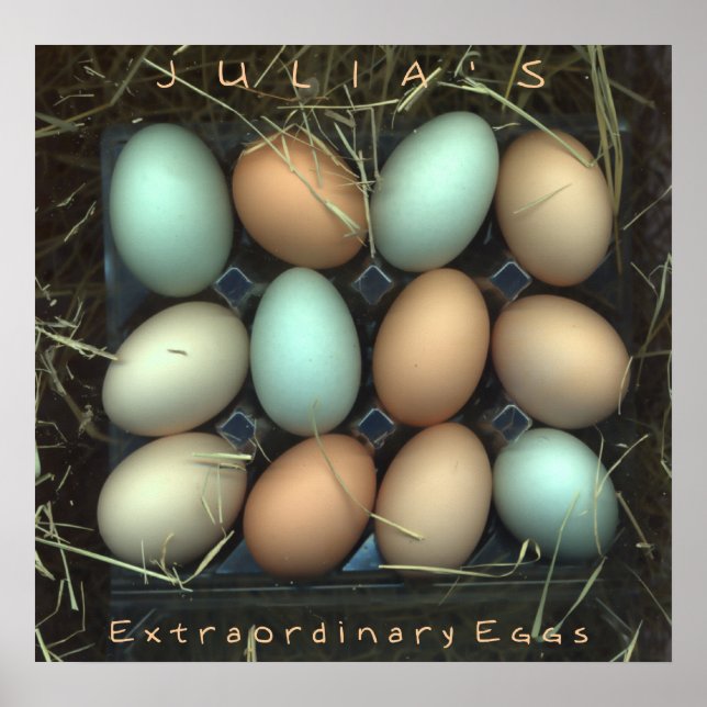 Julia's Extraordinary Eggs Poster (Front)