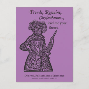 (Julius) Caesar Salad Postcard