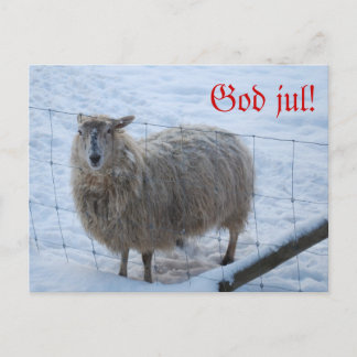 Julkort - Fåret Fjun Postcard