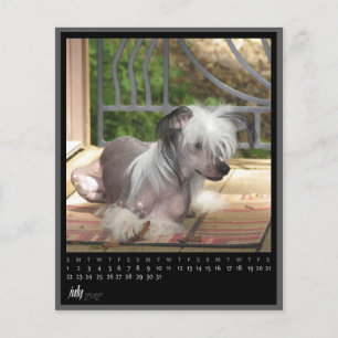 july 2012 calendar
