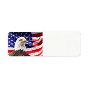 July 4th American Flag and Eagle