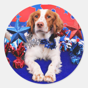 July 4th - Brittany Spaniel - Charlie Classic Round Sticker
