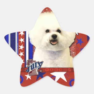 July 4th Firecracker - Bichon Frise Star Sticker