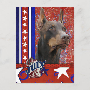 July 4th Firecracker - Doberman - Red - Rocky Postcard