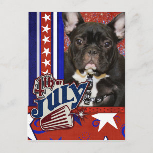 July 4th Firecracker - French Bulldog Postcard
