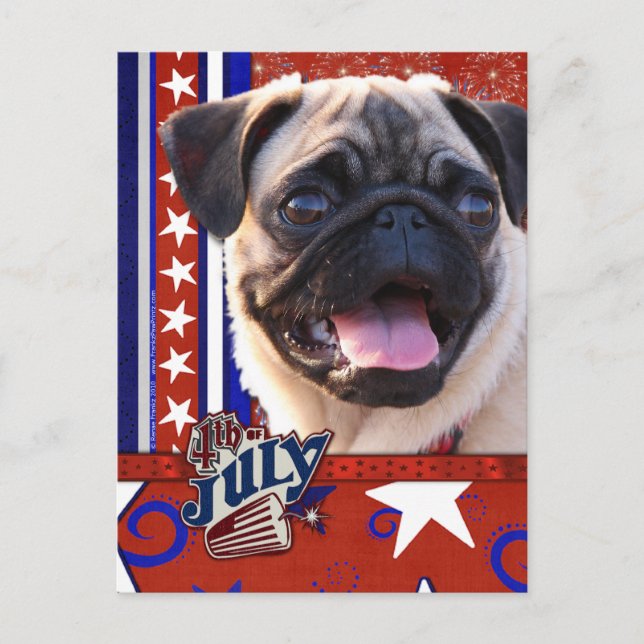 July 4th Firecracker - Pug Postcard (Front)