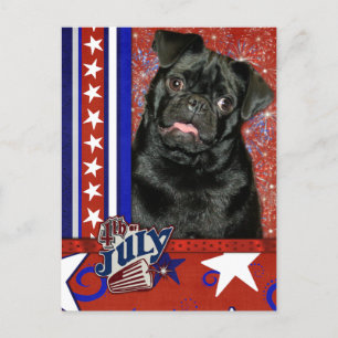 July 4th Firecracker - Pug - Ruffy Postcard