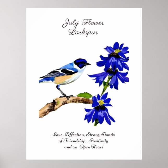 July Birth Month Flower Bluebird and Larkspur    Poster (Front)