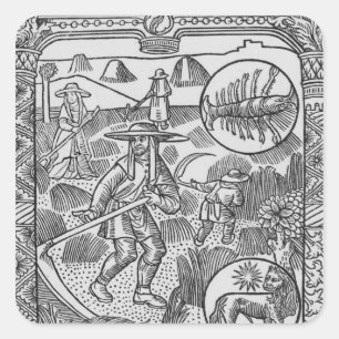 July, haymaking, Cancer Square Sticker