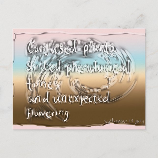 july postcard (Front)