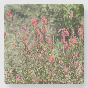 July Rock Show Stone Coaster