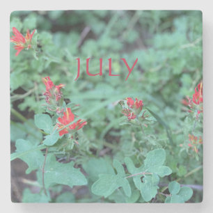 JULY STONE COASTER