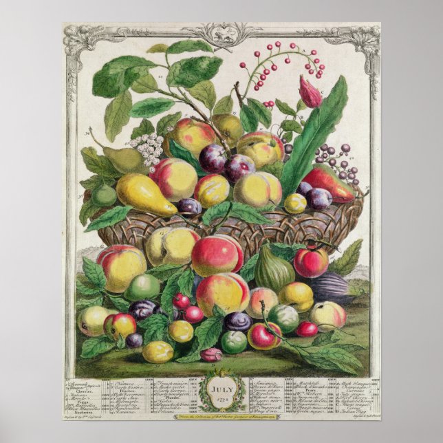 July, 'Twelve Months of Fruits' Poster (Front)