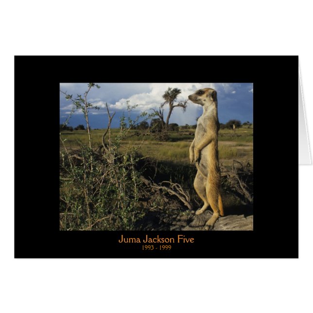 Juma - Legends Cards (Front Horizontal)