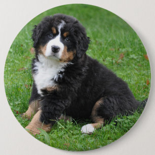 Jumbo custom photo pet pin, love your dog! 6 cm round badge