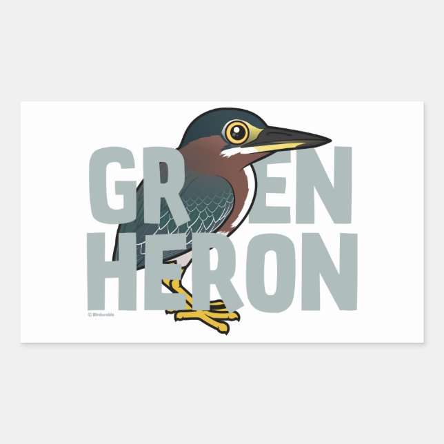 Jumbo Green Heron Rectangular Sticker (Front)