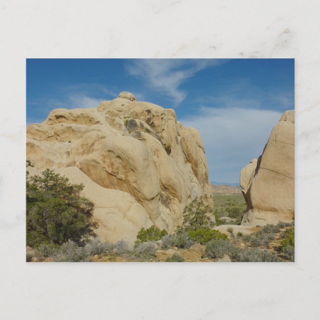Jumbo Rocks at Joshua Tree National Park Postcard (Front)