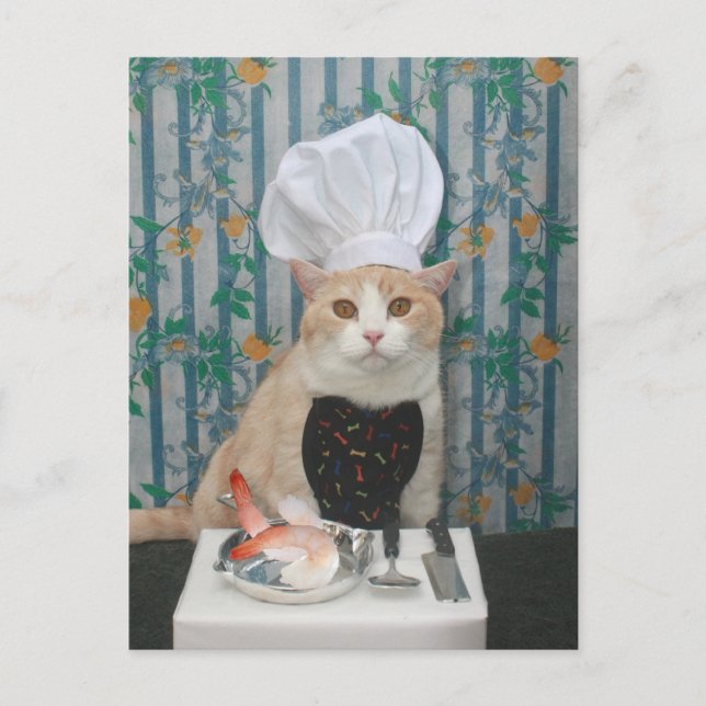 Jumbo Shrimpies! Postcard (Front)