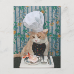 Jumbo Shrimpies! Postcard