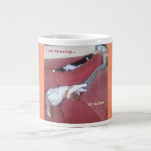 Jumbo Two Cats Napping Photo Mug