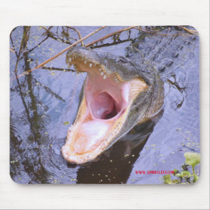 Jump In!  The Water's Fine! Mouse Mat