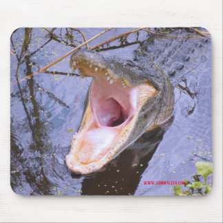 Jump In! The Water's Fine! Mouse Mat