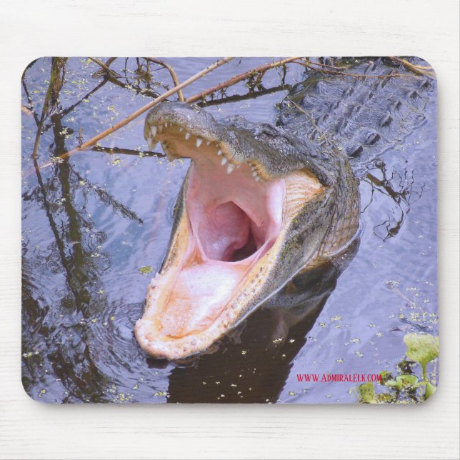 Jump In!  The Water's Fine! Mouse Mat (Front)