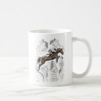 Jumper Horses Fences Montage
