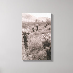 Jumping Cholla Cactus Desert B&W Photo Prints