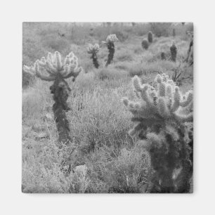 Jumping Cholla Cactus Desert Refrigerator Magnets