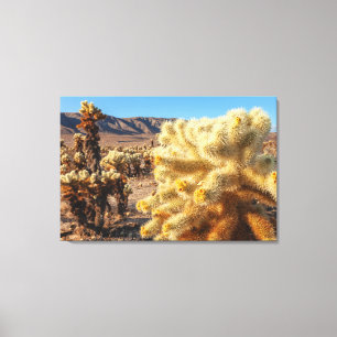 Jumping Chollas Canvas Print
